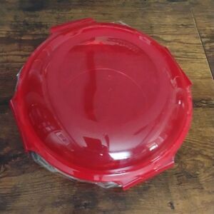 Vibrant Brand New Red Food Storage Glass Container